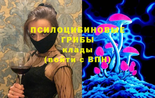 мдма Няндома