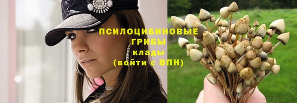 спайс Нягань