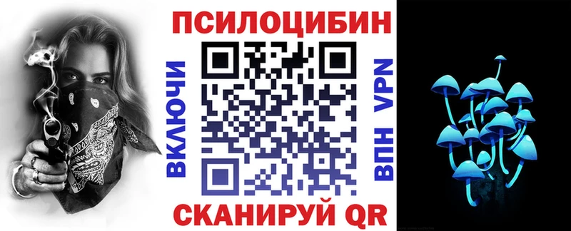 Псилоцибиновые грибы мицелий  мега маркетплейс  Райчихинск  закладка 